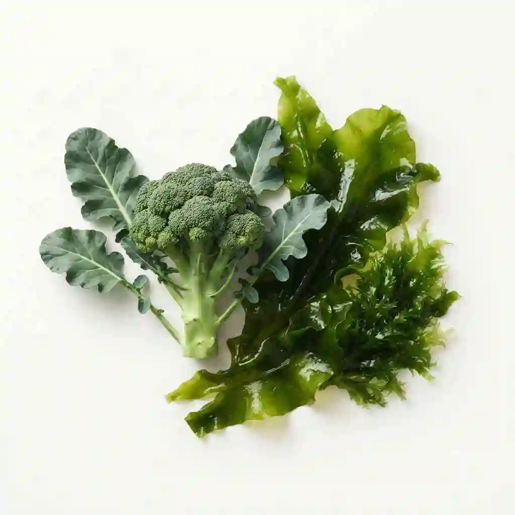 vitamin b12 and chromium
